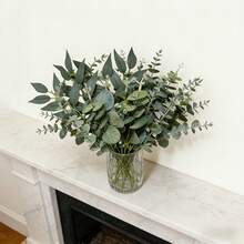 20pcs 4 Types Artificial Mixed Eucalyptus Leaves - Suitable For Indoor And Outdoor Display - Can Be Used For Wedding Decoration, Floral Arrangement And Other Daily Decor Scenes - Multicolor - View 11