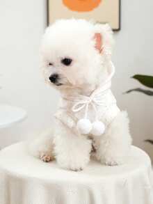 PETCIRCLE 宠物服装一件装，室内外皆宜，欧美韩风，适合贵宾犬、泰迪犬、小型犬及幼犬，休闲舒适连帽衫 - 小熊图案 - 彩色 - 查看 4