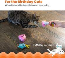 Catstages Happy Purrthday Cat Toys, 3-Pack Catnip Plush Toys With Crinkle, Feathers &Amp; Dental Mesh, Multicolored - ColorC - 查看 2