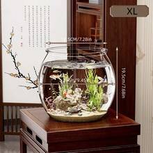 Transparent Round Mini Fish Tank, Desktop Office Decor, Beta Fish Breeding Aquarium For Home Use - Multicolor - View 2