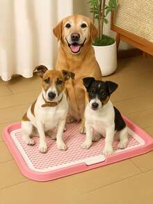 1pc Indoor Pet Pee Pad Holder, Dog Training Potty, Dog Toilet - Multicolor - View 3