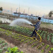 1pc 5-Head Multi-Hole Spray Nozzle Watering Head For Vegetable Garden Watering Hose Spray Nozzle Sprinkler - B - View 3