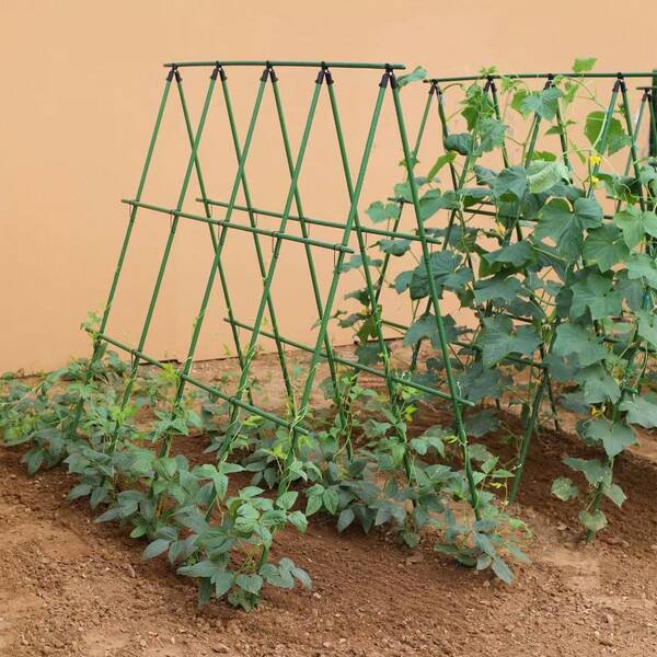 Giàn leo dưa leo vườn 47x15 inch, giá đỡ cây leo ngoài trời cho luống trồng vườn, dụng cụ làm vườn cây leo ngoài trời kèm lưới leo và kẹp đỡ cây