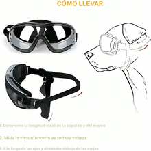 Occhiali da sole per animali domestici - Compresse imitate di Hongjing - Visualizzare 3