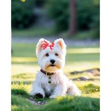 Pet Hair Accessories - WINTER SNOWFLAKE - View 7