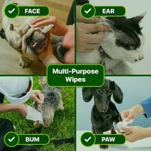 Premium Unscented Dog Wipes Paws And Butt Count - Compostable, Plant Based Dogs And Wipes, Strong Grooming Pet Wipes Dogs And Cats - Use On Body, Ear Paws (Pack Of 1) - Uscented - View 3