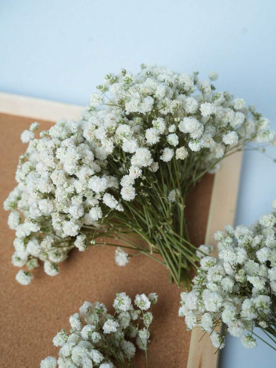 100/50pcs White Baby's Breath Artificial Flowers - Vivid Dyed Fake Flowers Suitable For Wedding Decor, Invitation Decor, DIY Crafts, Corsages, Home Decor, Desk Decor, Office Decor - Multicolor - View 1