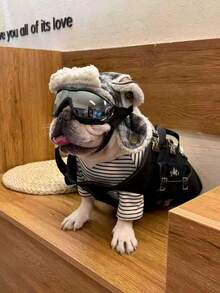Adjustable Dog Goggles For Small, Medium & Large Breeds - Windproof & UV Protection Pet Sunglasses With Double Straps - Black - View 10