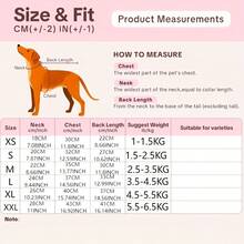 Pet High Neck Base Layer Top, Internet Celebrity Devon Rex Cat Outfit, Home Daily Photography, Devon Rex Curly Hair Cat, Sphynx Hairless Cat, Elastic Ribbed Skin-Friendly Warm Long Sleeve Top - Green - View 3