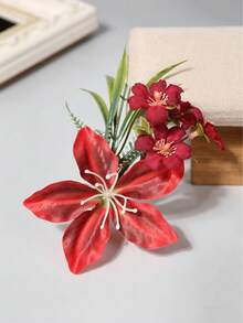 66255 Red