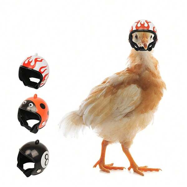 Pet Supplies Protective Chicken Helmet, Hen Hat, Bird Cap, Head Cover To Prevent Fighting, Parrot, Chick, Pigeon, Marsupial Pet Safety Helmet