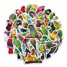 60張逼真鸚鵡貼紙，創意動物可愛鳥類寵物貼紙，清新裝飾貼紙，學校用品 - A - 查看 3