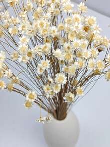30/60/100/200 buc. buchet de flori uscate mini stele braziliene/margarete, decor pentru casă, cadou de Ziua Îndrăgostiților, accesorii pentru fotografie, potrivit pentru decor floral în stil boho pentru cameră, vază de nuntă, decor pentru dormitor și podea, plante artificiale - alb - Vizualizare 5