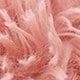 Coral Pink