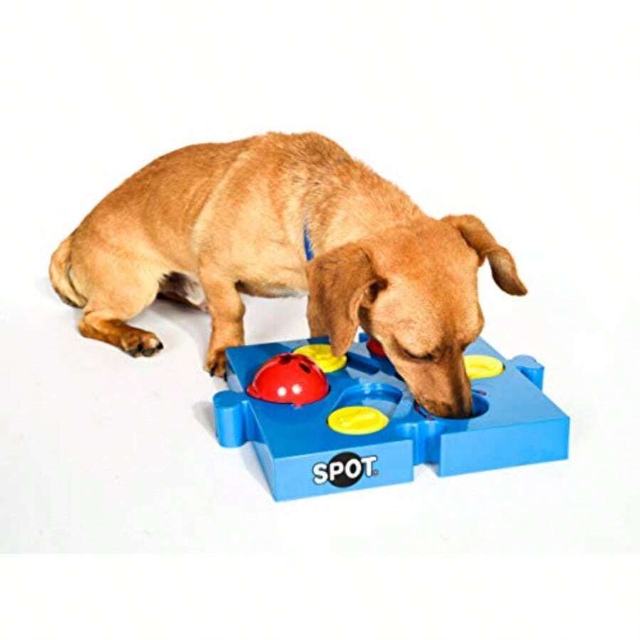By  Products Interactive Seek-A-Treat Flip 'N' Slide Dog Toy Puzzle Dog Treat Reward Toy Connector Puzzle Improves Your Dog's IQ Specially Designed For Training Treats - 1 - Xem 1