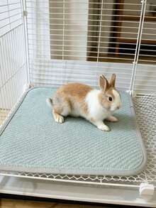 Pet Cooling Mat Is A Cool, Breathable, Non-Slip Bamboo Mat,Hamster Cage Accessory, A Pet Cooling Mat Bed,It Is Suitable For Guinea Pigs,Chinchillas, Rabbits, And Other Small Pets, Making It An Ideal Choice For Summer Pet Mattresses. - Multicolor - View 11