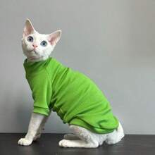 Pet High Neck Base Layer Top, Internet Celebrity Devon Rex Cat Outfit, Home Daily Photography, Devon Rex Curly Hair Cat, Sphynx Hairless Cat, Elastic Ribbed Skin-Friendly Warm Long Sleeve Top - Green - View 4