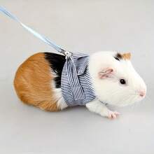 Plaid Pet Harness With Leash, Comfortable 4-Leg Suspender Design, Suitable For Ferrets, Rabbits, Hedgehogs And Guinea Pigs, Spring/Summer - Multicolor - View 13