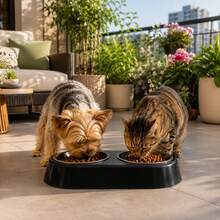 Double Pet Feeder/Waterer For Dogs And Cats, Stainless Steel Bowls, 450ml - Gấp đôi - Xem 2