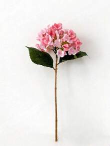 1 件秋季粉色人造绣球花，逼真丝绸绣球花装饰品，高品质人造花，适用于 DIY 婚礼花束、派对、家居客厅、厨房、花园、酒店、办公室、DIY 情人节、母亲节、返校装饰、春季家庭花园派对装饰、DIY 拱门花环装饰，也是送给女孩的礼物。 - 珊瑚粉 - 查看 1