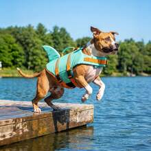 Metglad Dog Life Jacket - Stylish Color Pet Swimming Vest With Rescue Handle, High Buoyancy Anti Tear Dog Buoyant Vest, Suitable For Small, Medium, And Large Dogs - Mint Green - View 5