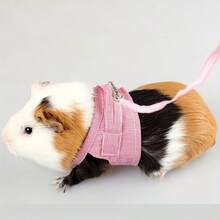 Plaid Pet Harness With Leash, Comfortable 4-Leg Suspender Design, Suitable For Ferrets, Rabbits, Hedgehogs And Guinea Pigs, Spring/Summer - Multicolor - View 8