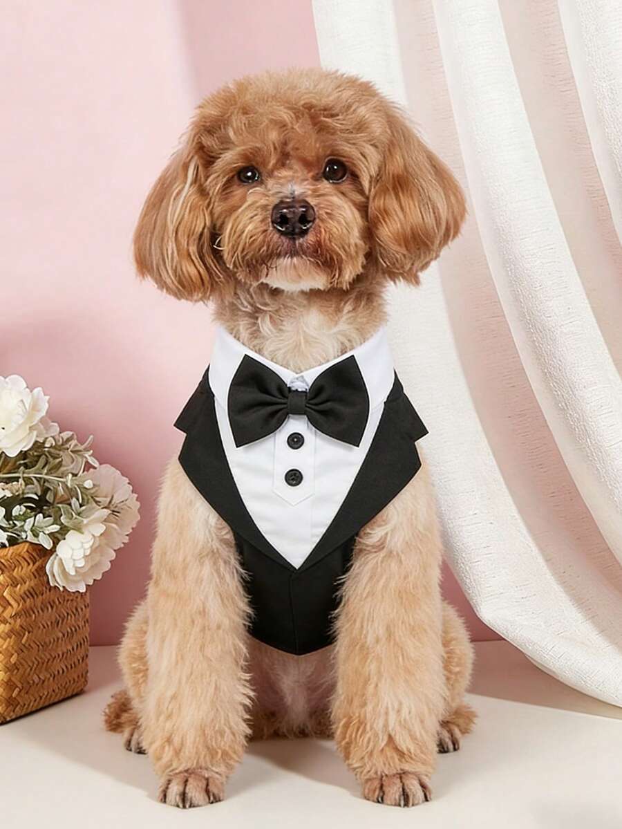 1 chiếc đai đeo thú cưng kiểu tuxedo quý ông, bộ sinh nhật đám cưới, đai đeo áo vest lưới chính thức cho chó kèm nơ, phù hợp cho chó/mèo nhỏ và trung bình (chỉ áo vest, không bao gồm dây xích) - Đen và trắng - Xem 1