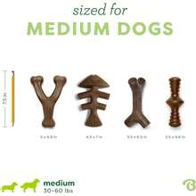 Benebone Medium 4-Pack Dog Toys Aggressive Chewers – Durable Dog, Made In USA – Dog Toys Medium Dogs Under 60 Lbs 6ODE - Bộ 4 sản phẩm phiên bản giới hạn - Xem 6