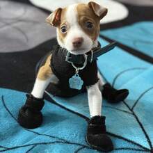 Zapatos de malla transpirable para perros, botas ajustables antideslizantes para mascotas, adecuados para perros pequeños, uso de verano - Negro - Ver 9