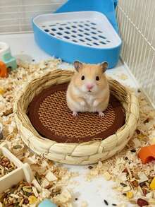 Pet Cooling Mat Is A Cool, Breathable, Non-Slip Bamboo Mat,Hamster Cage Accessory, A Pet Cooling Mat Bed,It Is Suitable For Guinea Pigs,Chinchillas, Rabbits, And Other Small Pets, Making It An Ideal Choice For Summer Pet Mattresses. - Multicolor - View 8