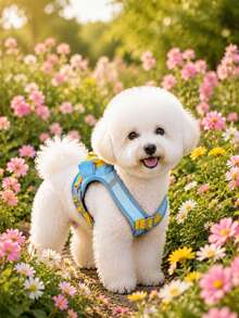 1pc Dopamine Color Cartoon Pet Harness & Leash Set, Breathable Non-Choke Design For Small Dogs & Cats, Suitable For Walking - Baby Blue - View 5