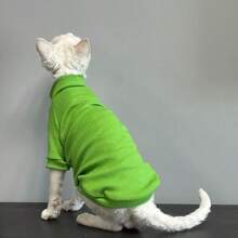 Pet High Neck Base Layer Top, Internet Celebrity Devon Rex Cat Outfit, Home Daily Photography, Devon Rex Curly Hair Cat, Sphynx Hairless Cat, Elastic Ribbed Skin-Friendly Warm Long Sleeve Top - Green - View 5