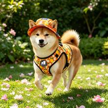BVEOYPET 2pcs/Set: Dog Harness And Sun Hat Set, Adjustable Floral Pet Harness, Anti-Pull Design, Breathable Puppy Vest Harness + Sun Protection Hat, Suitable For Medium And Small Dogs, Outdoor Dog Walking Pet Supplies - Orange - View 6