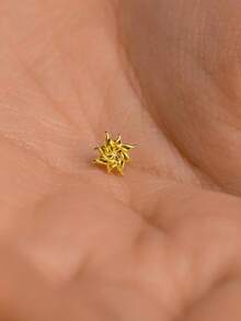 EleRunis 1 Peça Joia Fina de Uso Diário em Prata Esterlina 925 com Desenho Espiralado de Estrela para Cartilagem, Hélice, Piercing Rosqueado, para Casamento, Festa, Noivado, Aniversário, Dia dos Namorados - Dourado - Visão 2