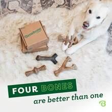 Benebone Medium 4-Pack Dog Toys Aggressive Chewers – Durable Dog, Made In USA – Dog Toys Medium Dogs Under 60 Lbs E29G - 限量版 4 件裝 - 查看 6