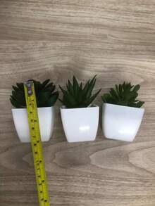 3件套仿真多肉植物迷你盆栽套装，绿色和粉色仿真微型植物，适用于花园、书桌、房间、窗台、办公室装饰、婚礼布置、家居装饰 - 彩色 - 查看 6