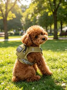 1pc Dopamine Color Cartoon Pet Harness & Leash Set, Breathable Non-Choke Anti-Escape For Small Dogs & Cats Walking - Khaki - View 5