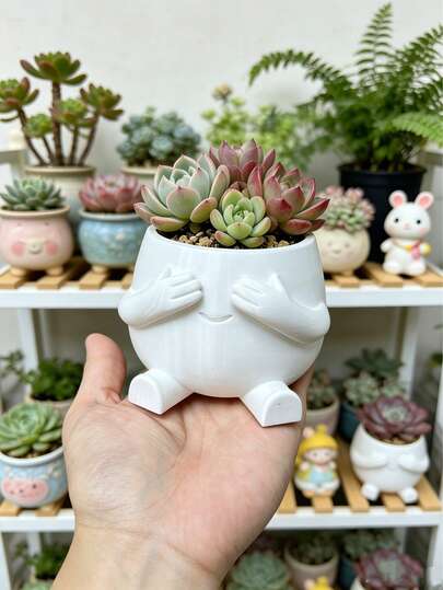Chậu hoa thiết kế dễ thương, chậu trồng cây mọng nước, chậu cắm hoa, chậu hoa nhỏ có giá trị thẩm mỹ cao, thích hợp trong nhà và ngoài trời, kệ để hoa ban công, văn phòng, phòng ngủ, bàn làm việc, trang trí nhà cửa, tạo không gian thư giãn.