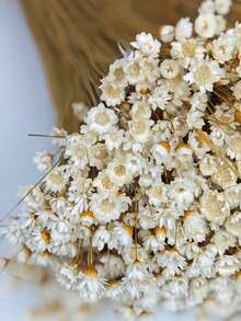 30/60/100/200 buc. buchet de flori uscate mini stele braziliene/margarete, decor pentru casă, cadou de Ziua Îndrăgostiților, accesorii pentru fotografie, potrivit pentru decor floral în stil boho pentru cameră, vază de nuntă, decor pentru dormitor și podea, plante artificiale - alb - Vizualizare 9