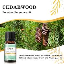 1 buah Minyak Wangi Kayu Cedar EUQEE 10ml/0.33fl.Oz, Aroma Tahan Lama untuk Diffuser, Parfum DIY Rumah, Aromaterapi, Pelembap Udara, Diffuser Batang, Pembuatan Lilin, Kristal Beraroma, Perawatan Kulit - Kayu cedar - View 4