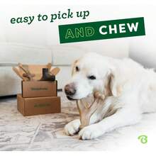 Benebone Medium 4-Pack Dog Toys Aggressive Chewers – Durable Dog, Made In USA – Dog Toys Medium Dogs Under 60 Lbs 6ODE - Bộ 4 sản phẩm phiên bản giới hạn - Xem 2