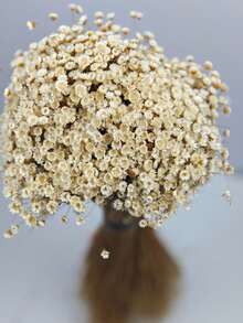 30/60/100/200 buc. buchet de flori uscate mini stele braziliene/margarete, decor pentru casă, cadou de Ziua Îndrăgostiților, accesorii pentru fotografie, potrivit pentru decor floral în stil boho pentru cameră, vază de nuntă, decor pentru dormitor și podea, plante artificiale - alb - Vizualizare 8