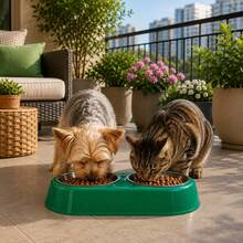 Double Pet Feeder/Waterer For Dogs And Cats, Stainless Steel Bowls, 450ml - Gấp đôi - Xem 11