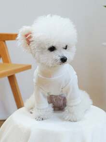 PETCIRCLE 1件宠物服装，室内外皆宜，欧美韩风，适合贵宾犬、泰迪犬、小型犬和幼犬，休闲舒适字母印花内衣 - 白色 - 查看 4