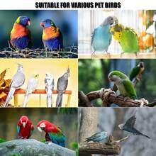 1PC Accessory Color Random Delivery Bird Frosted Perch Parrot Claw Grinding Perch Stand Tiger Skin Cockatiel Wooden Stick Toy Bird Cage Perch Accessory - Style A - View 4