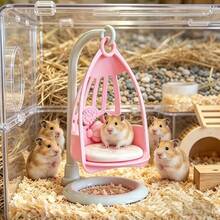 Hamster Swing Chair Toy - Adorable Hanging Hammock Bed, Designed For Small Pets To Provide A Comfortable Space For Swinging, Resting And Playing! The Product Is , Durable And Suitable For Cage Use. - A - View 10