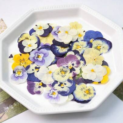 32 Adet/16 Adet Karışık Stil Kurutulmuş Preslenmiş Çiçek, Mum Dekorasyonu, Reçine DIY Sanat ve El Sanatları İçin, Ayraç, Takı Yapımı, Mum Yapımı, Sabun Yapımı, Telefon Kılıfı, Ayna Dekoru, Epoksi İçin Kuru Çiçek, Yapay Gül Çiçekleri, Kadınlar ve Kızlar İçin Doğum Günü Hediyesi, Kadınlar Günü Hediyesi, Anneler Günü Hediyesi, Emeklilik Hediyesi, Düğün Hediyesi