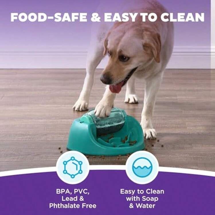 By Nina Ottosson Spin N' Eat Dog Puzzle And Slow Feeder, Level 2 Intermediate Enrichment Toy, Green - Spin N Eat Green - 查看 5