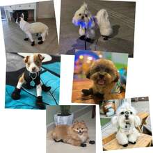 Zapatos de malla transpirable para perros, botas ajustables antideslizantes para mascotas, adecuados para perros pequeños, uso de verano - Negro - Ver 11