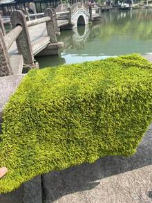 1片人造苔藓垫，柔软涤纶仿苔藓，DIY微景观草坪，景观石户外装饰，家居装饰，展览背景装饰，微景观 - 青草綠 - 查看 12